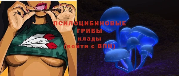 герыч Арсеньев