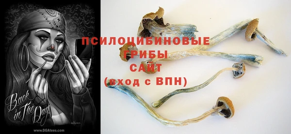 герыч Арсеньев