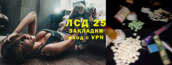 spice Аркадак