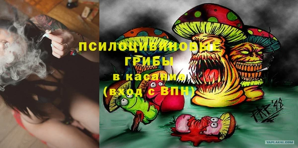 герыч Арсеньев
