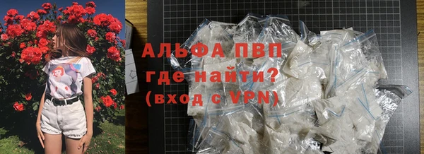 spice Аркадак