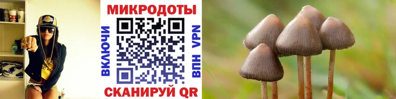 где купить   Углегорск  Галлюциногенные грибы мицелий 
